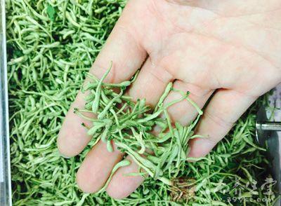 湿毒疮的疾病查询