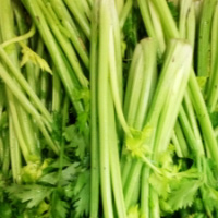 芹菜怎样保存 有效防止芹菜脱水变老