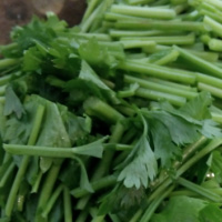 芹菜被称为天然利尿剂 芹菜的养生功效有哪些