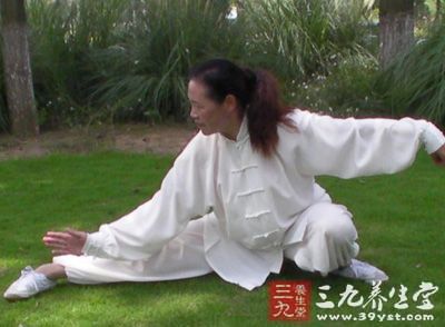 太极拳视频 杨氏85式太极拳教学(十一) 太极拳视频 杨氏85式太极拳教学(十一)