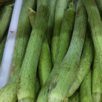 蒜茸虾米丝瓜 常吃丝瓜能够健脑美容 蒜茸虾米丝瓜 常吃丝瓜能够健脑美容