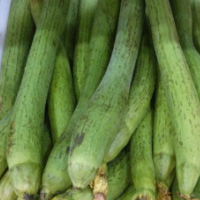 食用丝瓜好处多 丝瓜能够治疗过敏性哮喘 食用丝瓜好处多 丝瓜能够治疗过敏性哮喘