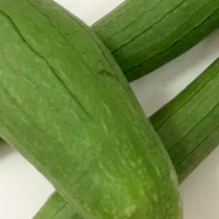 宝宝能吃丝瓜吗 宝宝吃丝瓜能下火祛痰 宝宝能吃丝瓜吗 宝宝吃丝瓜能下火祛痰
