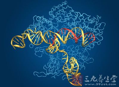 研究發現細胞凋亡關鍵分子促進癌症發生