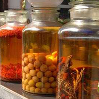 治疗胃癌的药酒配方