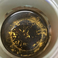 治疗高血压的菊花茶