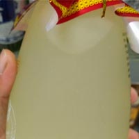 治疗筋骨诸病的术酒方