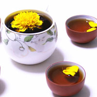 祛风湿壮筋骨的五加皮茶