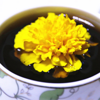 治疗眩晕的白菊花酒