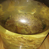 填精髓强筋骨的护骨补酒