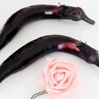 菜部之茄