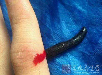 图解神秘云南苗蛊制作全过程