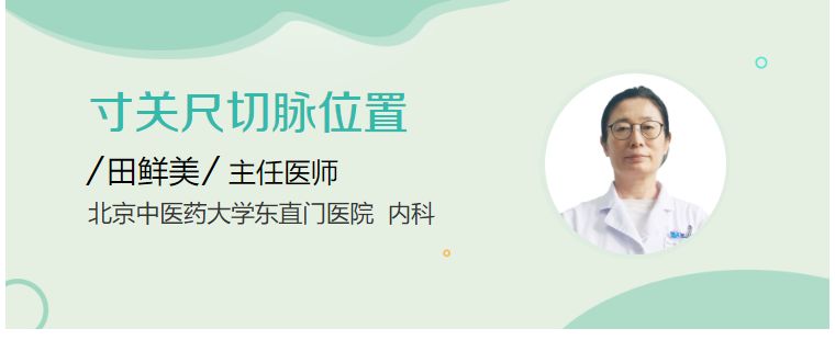 寸关尺切脉位置 - 民福康