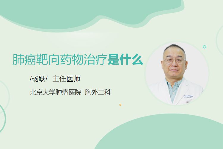 肺癌靶向药物治疗是什么