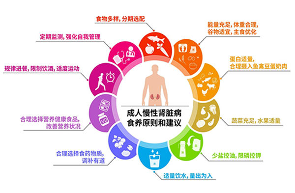 对慢性肾脏病患者的日常食养提出10条原则和建议