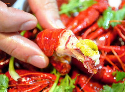 楊桃含神經(jīng)毒素，腎病患者同時(shí)食用龍蝦與楊桃，可能誘發(fā)癲癇樣發(fā)作或昏迷