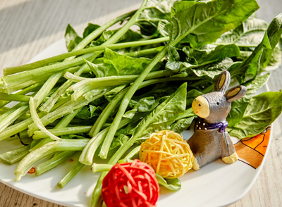 菠菜、西蘭花等綠色蔬菜富含葉酸，有助于預(yù)防卵巢癌