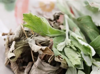 艾葉的抗菌消炎特性，對(duì)改善腳汗多、腳臭等小尷尬也很有一手