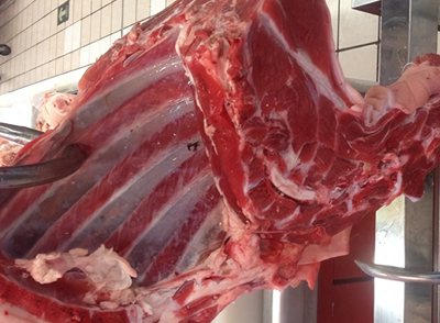 羊肉、牛肉、狗肉等性溫?zé)岬那菪笕庖矊儆谛入惏l(fā)物