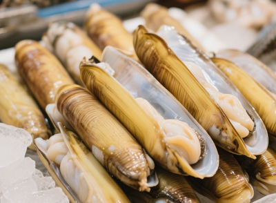 蟶子是優(yōu)質(zhì)的蛋白質(zhì)食材，每100克蟶子中蛋白質(zhì)含量約為7.1克