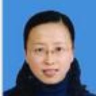 辛晓蓉 
