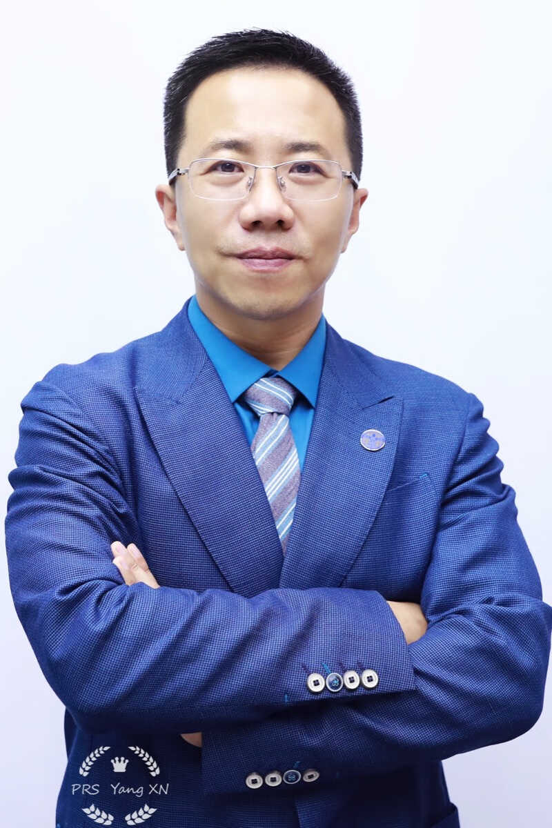 杨晓楠 