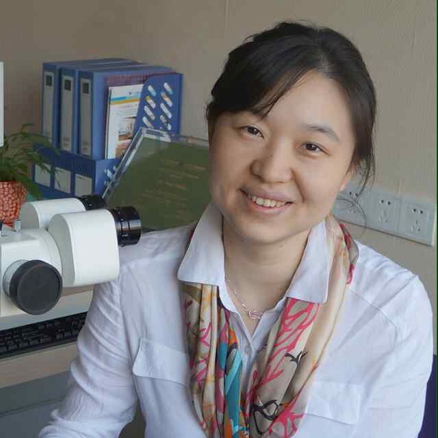 李晓霞 