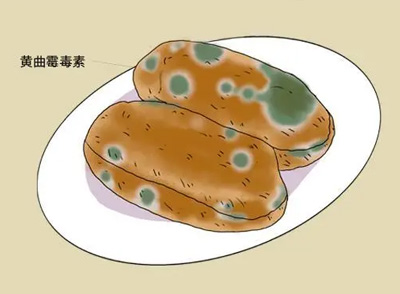 發(fā)霉的糧食、面包、水果等霉變食物，含有黃曲霉毒素等強(qiáng)致癌物，毒性極強(qiáng)，會(huì)損傷細(xì)胞DNA，導(dǎo)致細(xì)胞突變