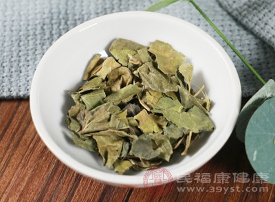 在中醫(yī)理論中，桑葉味甘、苦，性寒，歸肺、肝經(jīng)，具有疏散風熱的功效