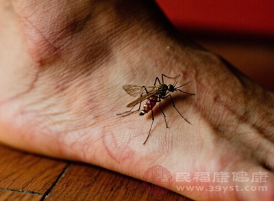 Zika病毒病主要通過花蚊子傳播，也可母嬰、性接觸傳播，我國輸入病例少，夏季仍需警惕，尤其出國旅行者