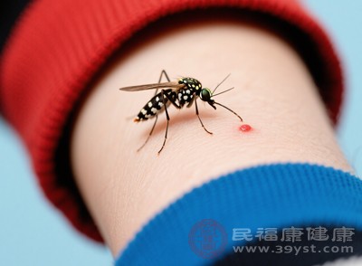 花蚊子17-19點活動頻繁，此時在公園散步、小區(qū)納涼、戶外鍛煉，未防護易被叮咬，雨后濕度大更活躍