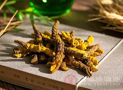 黃連的功效與作用全解讀 一文看懂不迷糊 黃連的功效與作用全解讀 一文看懂不迷糊