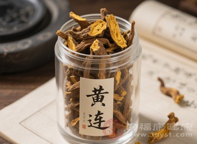 當(dāng)身體出現(xiàn)輕微炎癥，如口腔潰瘍、牙齦腫痛時(shí)，黃連通過(guò)抗菌消炎的作用，能夠緩解癥狀，促進(jìn)患處愈合