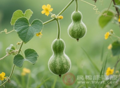 如果發(fā)現(xiàn)瓜類有畸形、表皮粗糙等異常情況，需提高警惕，食用前務必先嘗味