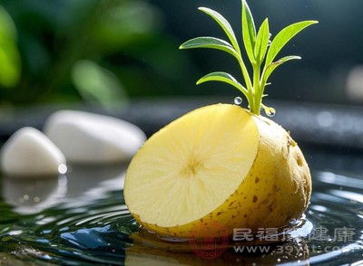 馬鈴薯一旦發(fā)芽，其發(fā)芽部位的毒素--龍葵素含量會急劇升高，比肉質部分高出幾十倍甚至幾百倍