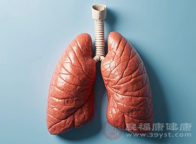 在傳統(tǒng)中醫(yī)理論中，肺主氣，司呼吸，喜潤(rùn)而惡燥
