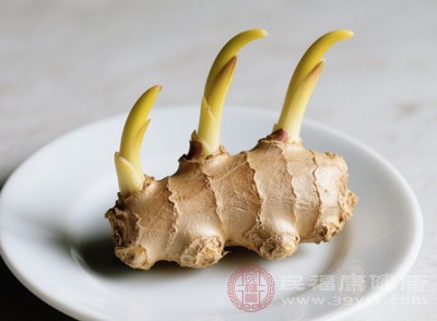 姜在發(fā)芽過程中并不會(huì)生成對(duì)人體有害的毒素，這是由姜自身的生物特性決定的