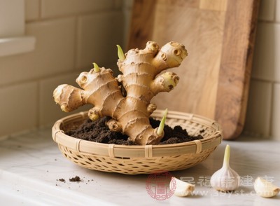 雖然姜發(fā)芽后部分營養(yǎng)成分的含量有所波動(dòng)，但從營養(yǎng)的多樣性和整體價(jià)值來看，仍然具有一定的食用價(jià)值，并非完全失去了食用意義