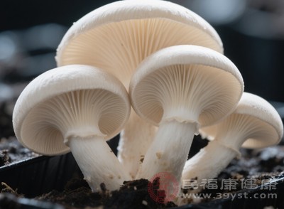選擇菌蓋完整、顏色自然(淺灰或白色)、菌褶清晰且無(wú)發(fā)黑、無(wú)黏液的平菇，這類平菇新鮮度高，雜質(zhì)相對(duì)較少