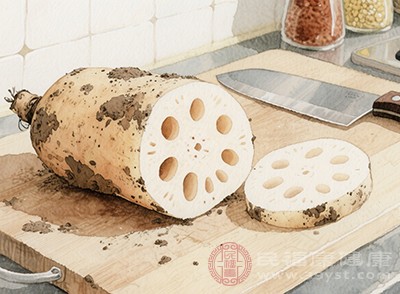蓮藕在立秋后也格外鮮美