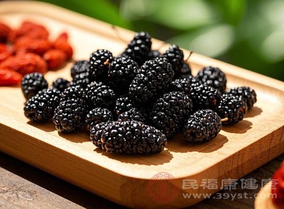 桑葚富含多種營養(yǎng)成分，每100克含有1.6克左右的蛋白質(zhì)