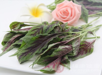 莧菜同樣富含草酸，每100克莧菜的草酸含量約為114毫克