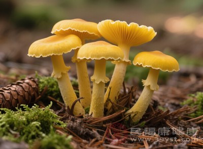 市場購買選正規(guī)渠道，確認經(jīng)專業(yè)鑒定，不買流動攤販的來源不明野生菌，避免誤購毒菌