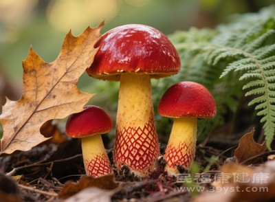 無論癥狀輕重，立即就醫(yī)，告知醫(yī)生食用的種類、時間、數(shù)量，便于醫(yī)生判斷中毒類型，采取針對性救治