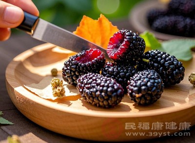 桑葚是桑樹的果實(shí)，富含多種營養(yǎng)成分