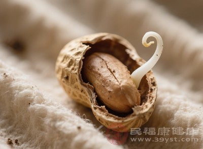 花生發(fā)芽的過程，其實是一場奇妙的“營養(yǎng)升級戰(zhàn)”