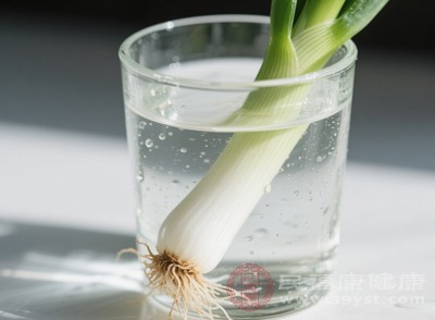 大蔥還能擴張血管，促進血液循環(huán)，讓血液流動更加順暢，進一步維持心血管系統(tǒng)的正常功能