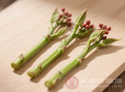對(duì)于經(jīng)常久坐、腸道蠕動(dòng)緩慢的人群來(lái)說(shuō)，適當(dāng)食用花椒芽，能讓腸道“動(dòng)起來(lái)”，保持良好的消化狀態(tài)