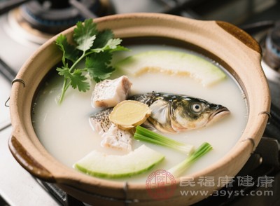 青木瓜魚頭湯味道鮮美，魚頭富含蛋白質(zhì)和不飽和脂肪酸，與青木瓜、豆腐一起煲湯，營養(yǎng)互補，具有滋補身體的功效