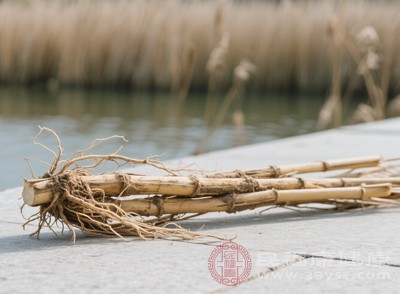 從現(xiàn)代醫(yī)學(xué)角度來看，蘆葦根含有豐富的天門冬酰胺、多糖等成分